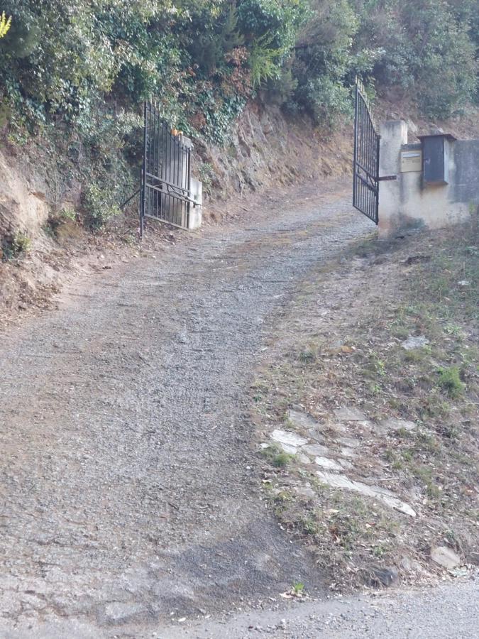Vila Ribellu Bastia  Exteriér fotografie