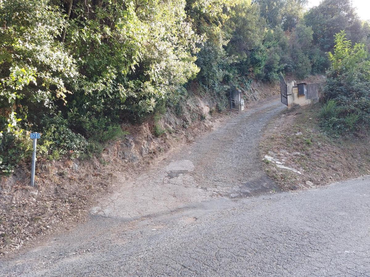Vila Ribellu Bastia  Exteriér fotografie