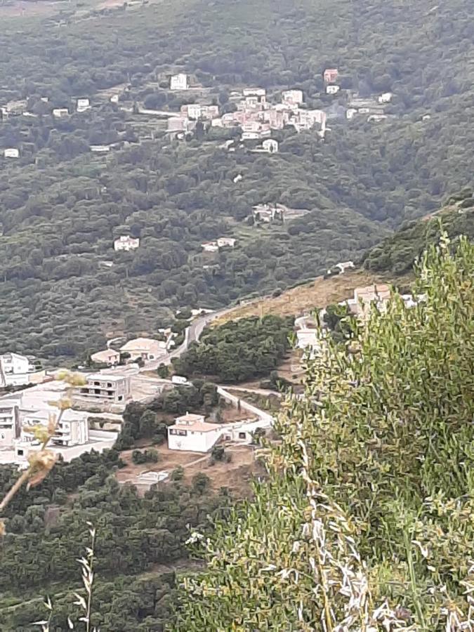 Vila Ribellu Bastia  Exteriér fotografie